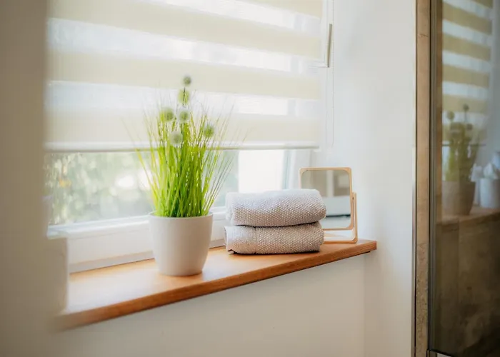 Apartament Paulidrei *