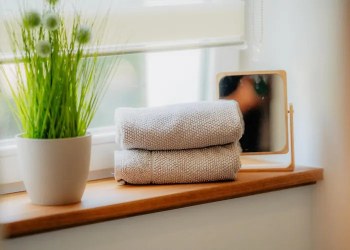 Apartament Paulidrei *